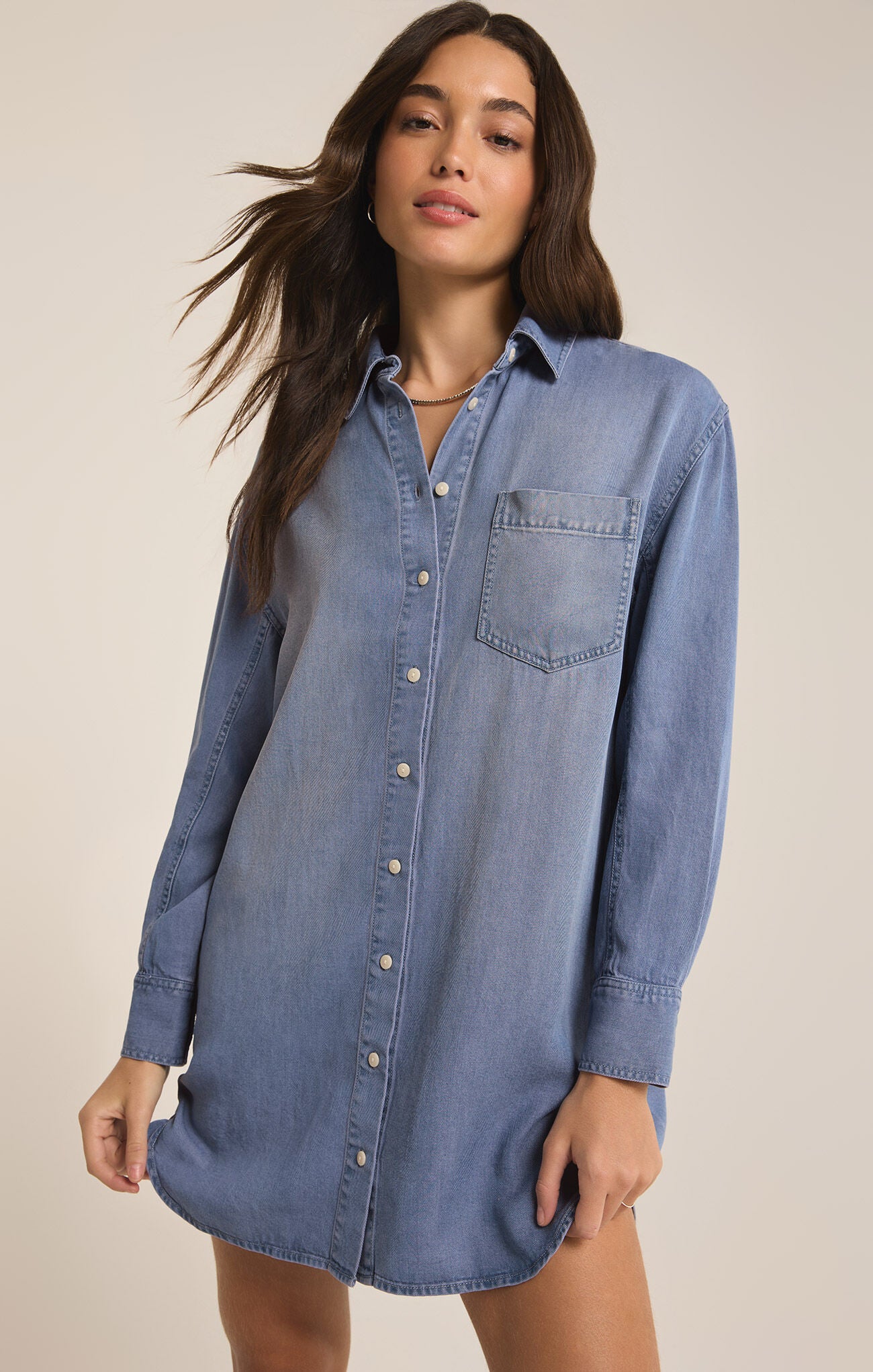 Z supply denim dress